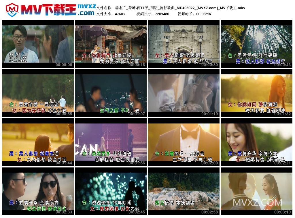 杨志广_荷塘-两口子_国语_流行歌曲_MD403022